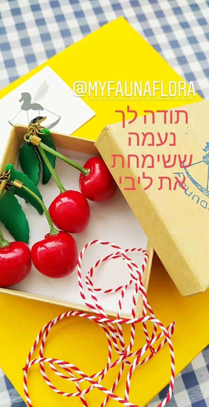 עגילי דובדבן ופרח דייזי